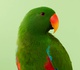 Gallery of Photography by Danny Eastwood - Australia