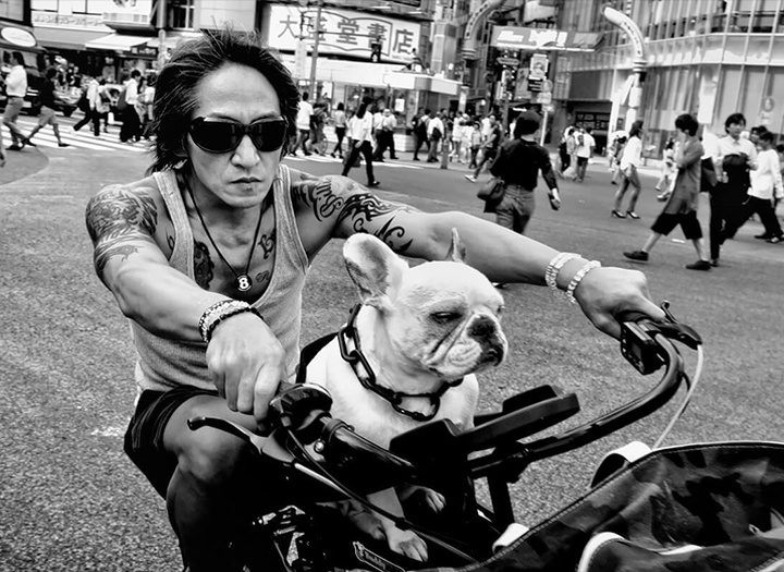 Gallery of Photography by Tatsuo Suzuki - Japan