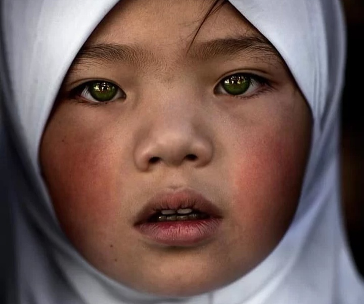 Gallery of Photography by Alessandro Bergamini - Italy