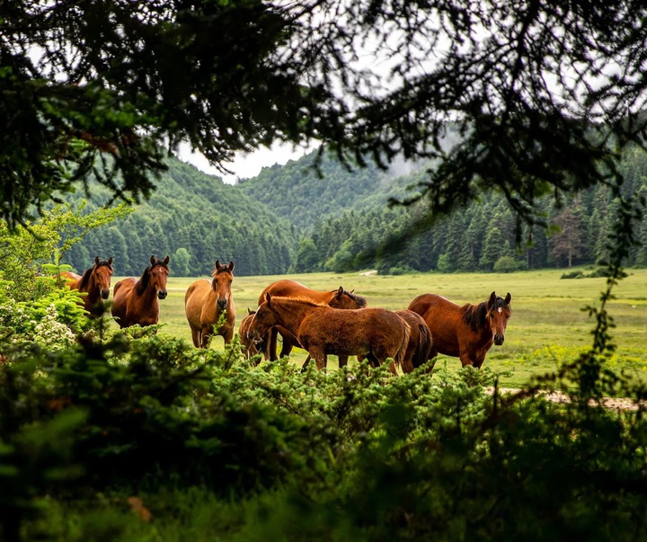 Gallery of Photography by Ahmet Erdem - Turkey