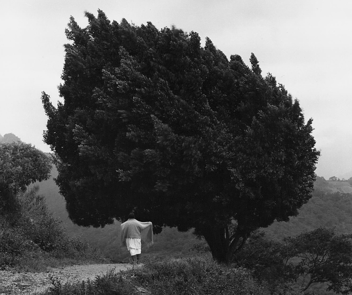 Gallery of Photography by Flor Garduño - Mexico