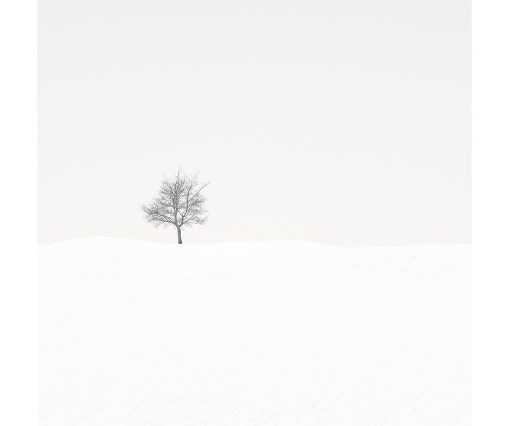 Gallery of Photography by Noel Clegg
