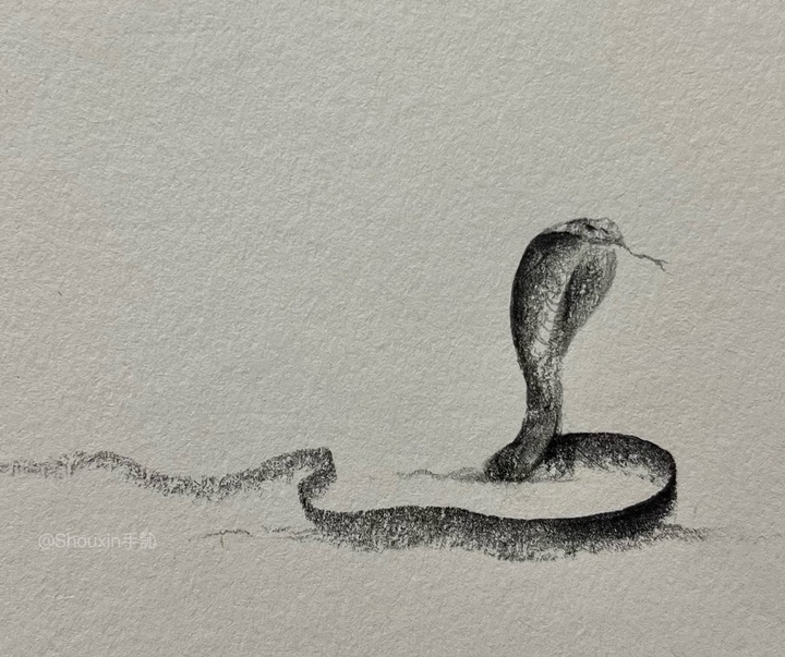 Gallery of Drawing by Shou Xin - China