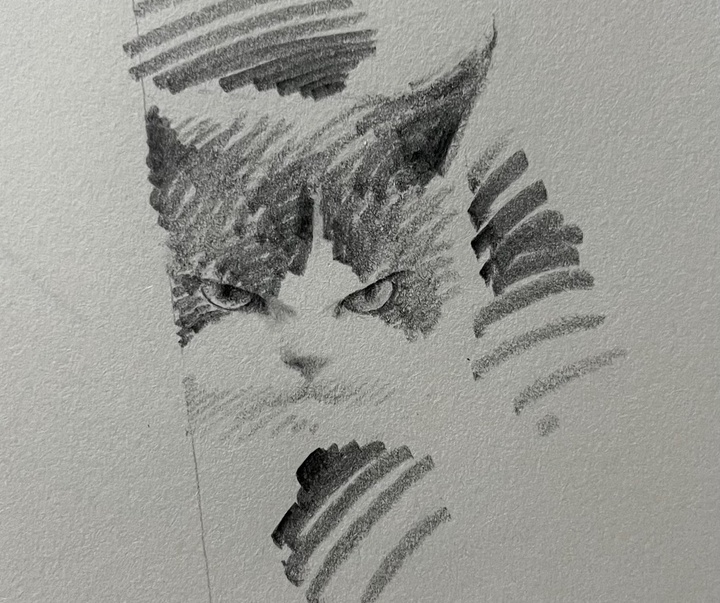 Gallery of Drawing by Shou Xin - China