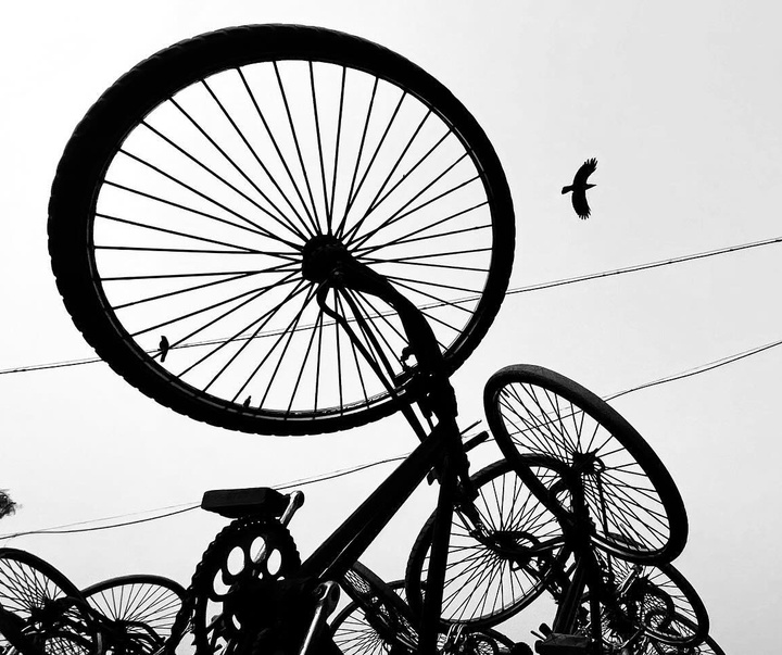 Gallery of Photography by Santanu Dey - India