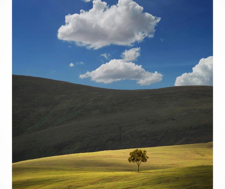 Gallery of Photos by Mojtaba Gitinezhad-Iran