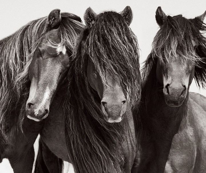 Gallery of Photography by Drew Doggett - USA