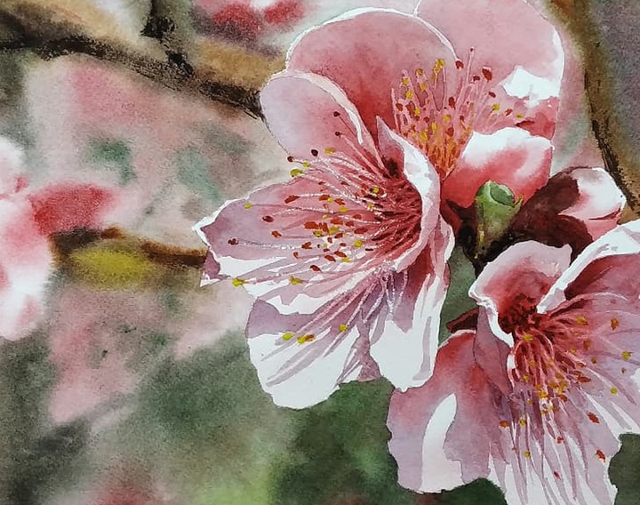 Gallery of Watercolor painting by Diego Eguinlian- Argentina