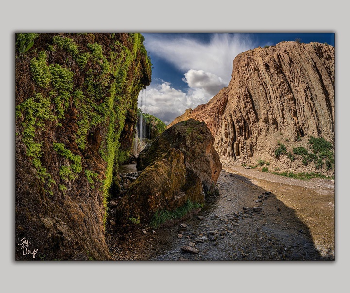 Gallery of photography by Sadegh Miri - Iran