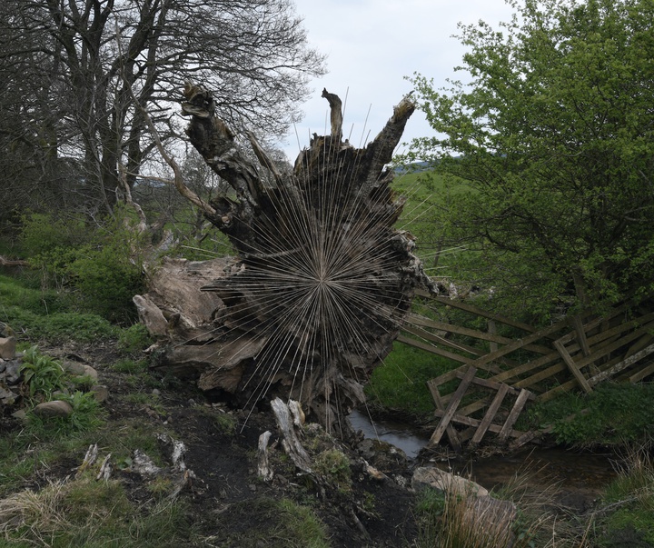 Gallery of Modern Art by Andy Goldsworthy - England