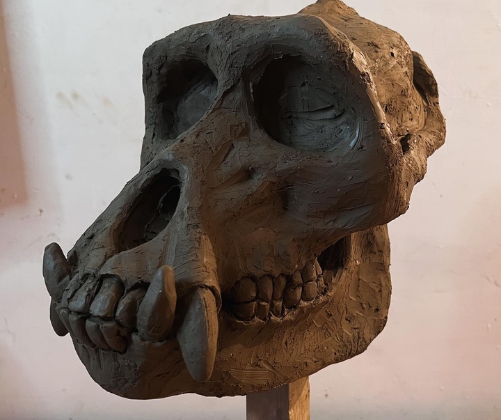 Gallery of Sculpture by Adi Piorescu