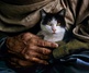 Gallery of Photography by Steve McCurry - USA
