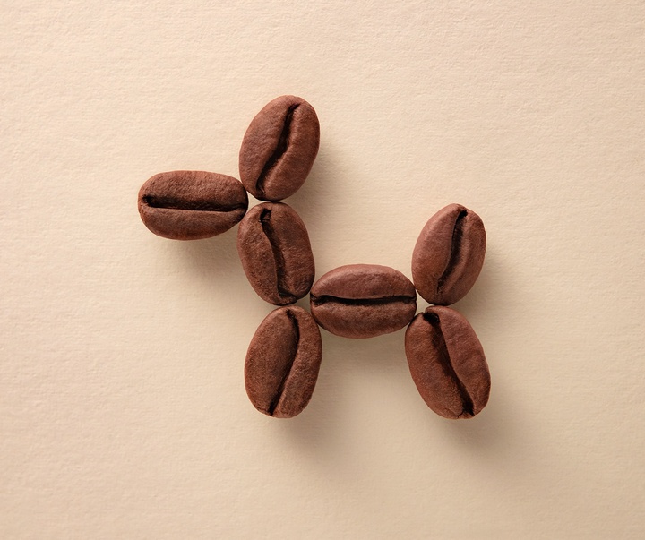 Gallery of Graphics by Domenic Bahmann - Germany