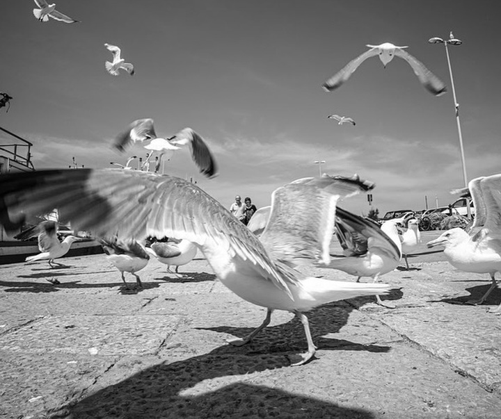 Gallery of Photography by Patrizia Galia - Italy