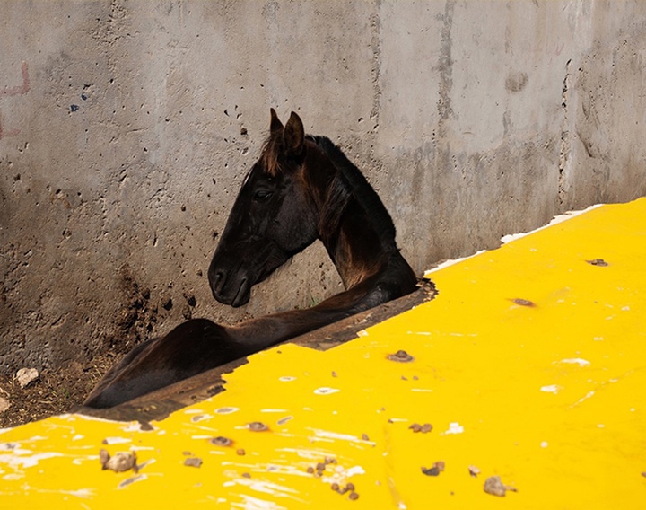 Gallery of Photography by Tavepong Pratoomwong - Thailand