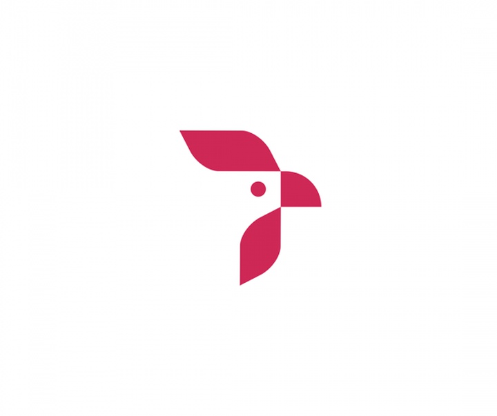gallery of Graphics by Ramin Nasibov