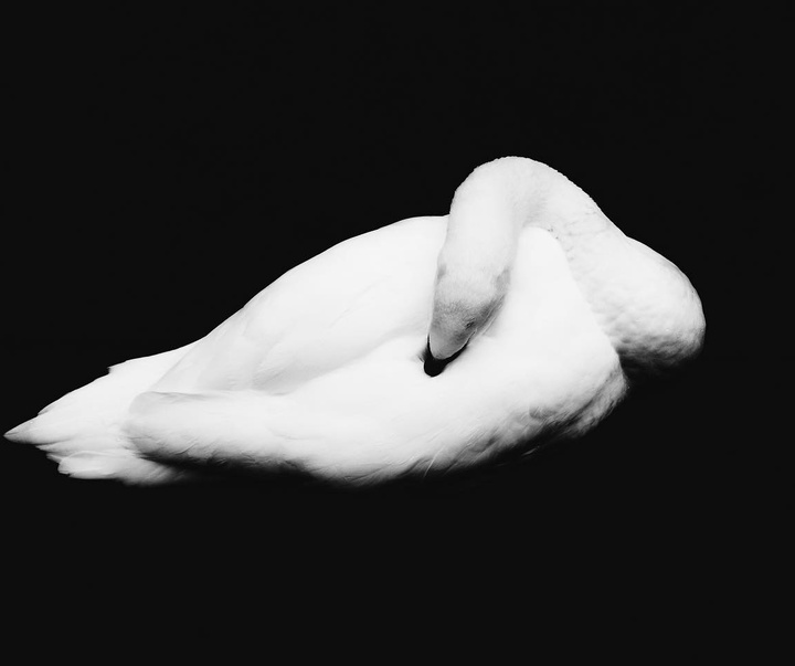 Gallery of Photography by Darren Sacks - UK