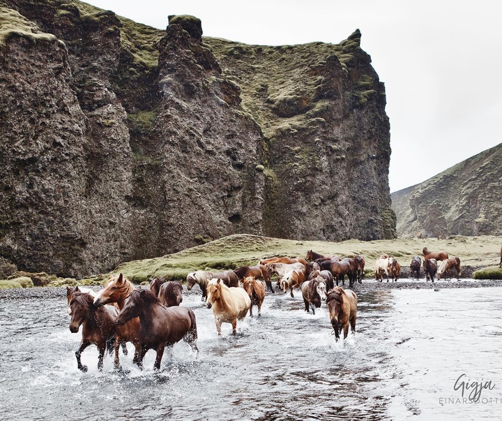 Gallery of Photography by Gigja Einars - Iceland