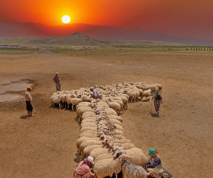 Gallery of photography by Mustafa Shahbaz - Turkey