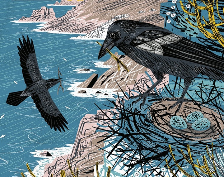 Gallery of Illustration by Matt Johnson - UK