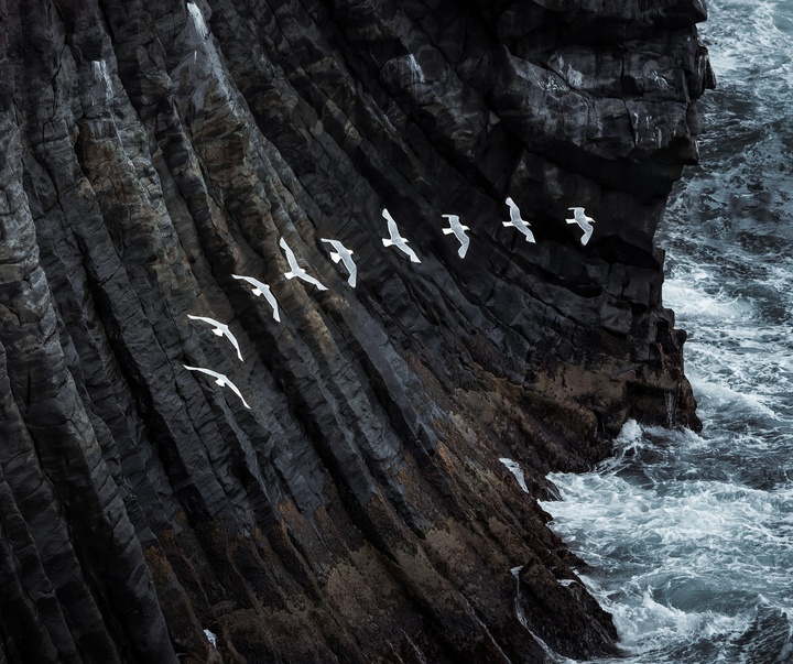 Gallery of Photography by Dani Guindo - Spain