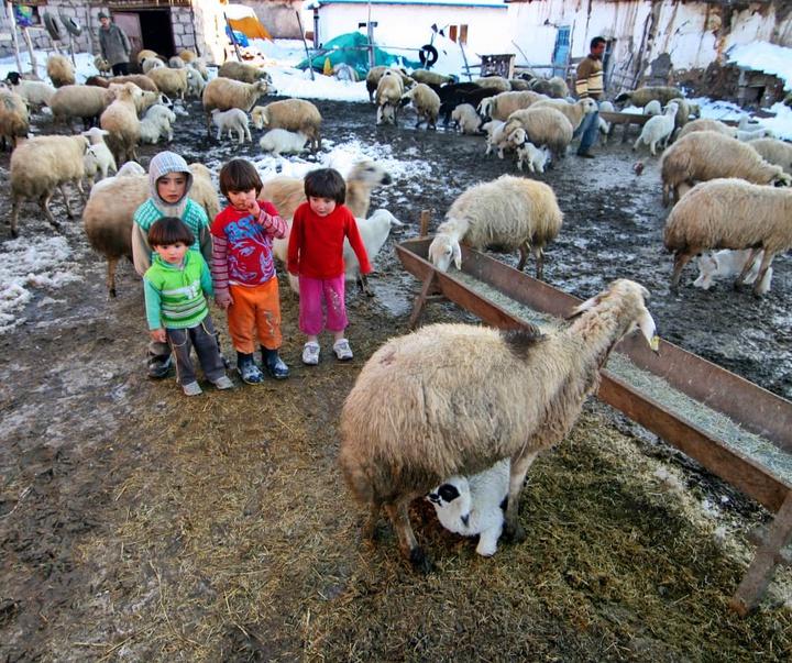 Gallery of photography by Mustafa Shahbaz - Turkey