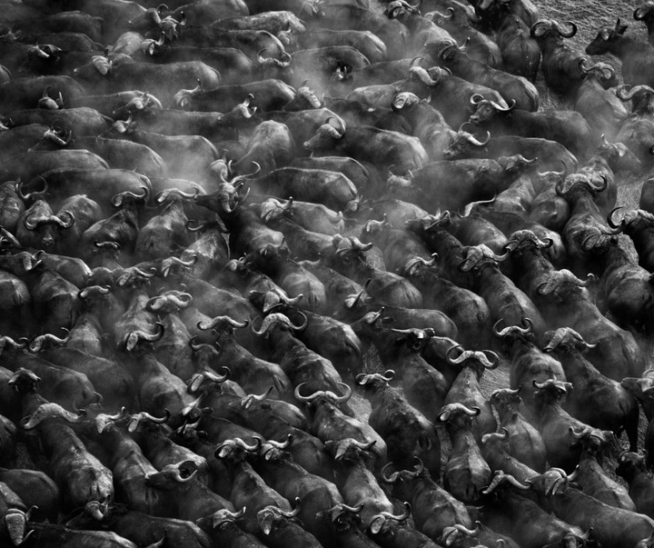 Gallery of Photography by Sebastião Salgado - Brazil