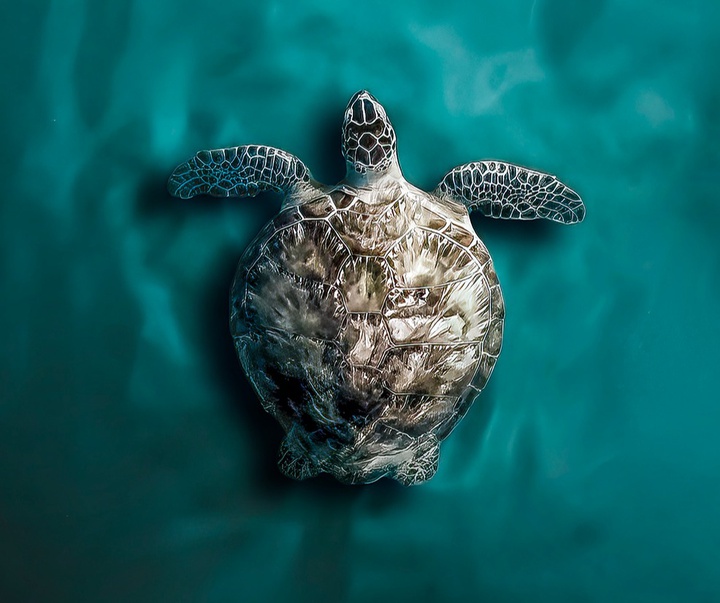 Gallery of Photography by Joanna Steidle - USA