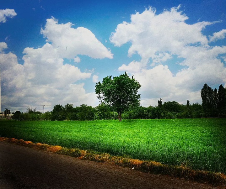 Gallery of photography by Reyhan Khavanin - Iran