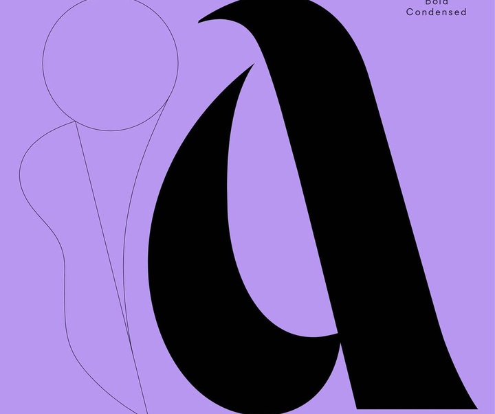 Gallery of graphic designe by Violaine & Jérémy