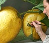 Gallery of painting - Hyper realism