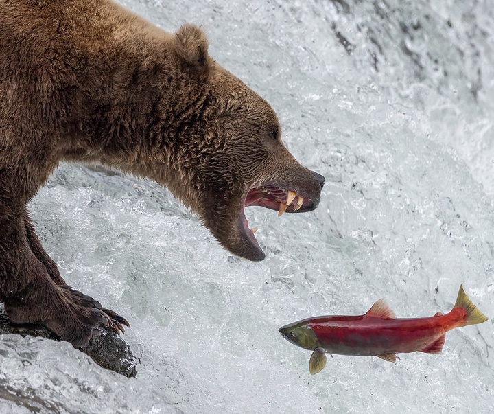 Gallery of Photography by Harry Collins - USA