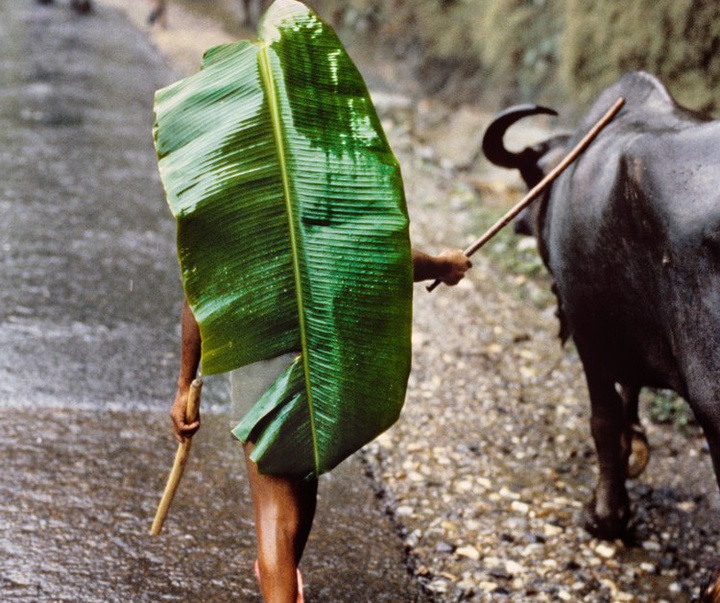 Gallery of Photography by Steve McCurry - USA