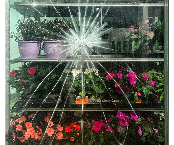 Gallery of Photography by Charlotte Laboyrie