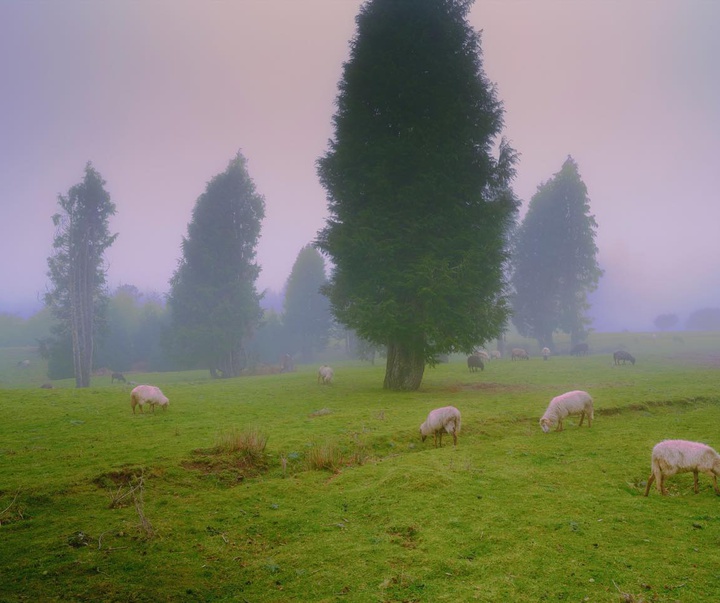 Gallery of Photography by Henri Prestes - Portugal