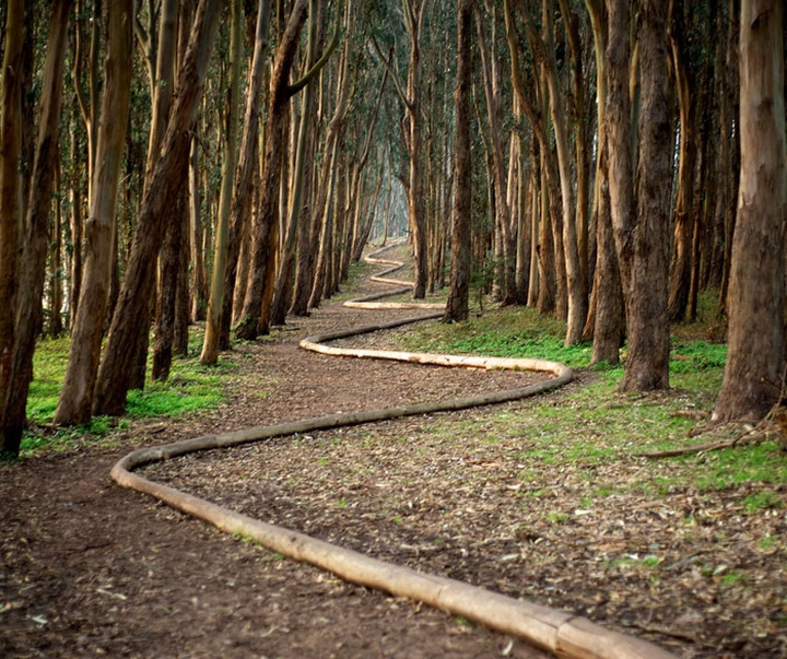 Gallery of Modern Art by Andy Goldsworthy - England