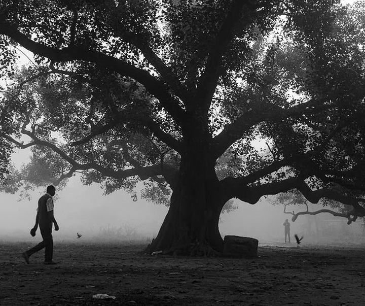 Gallery of photography by Tanay Sahoo-India