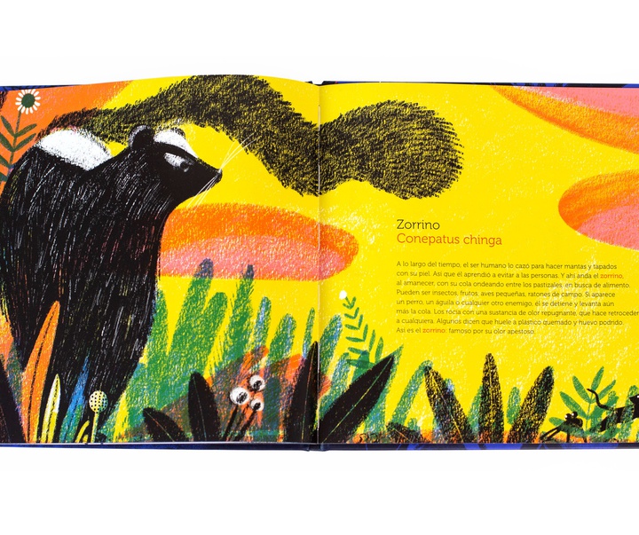 Gallery of Illustration by Cynthia Alonso - Argentina