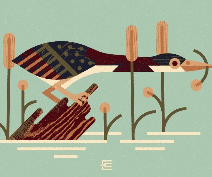 Gallery of Illustration by erikas chesonis - USA