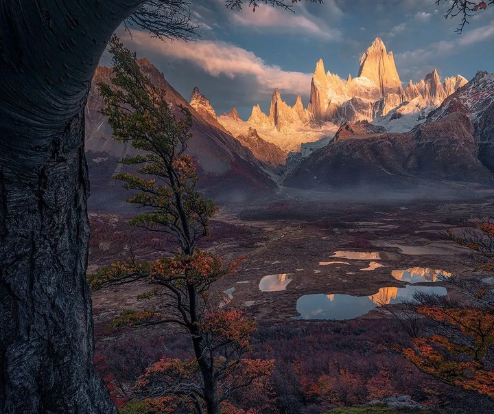 Gallery of Photography by Max Rive - Netherlands