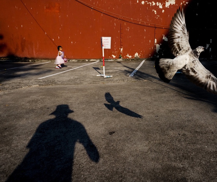 Gallery of Photography by Tavepong Pratoomwong - Thailand