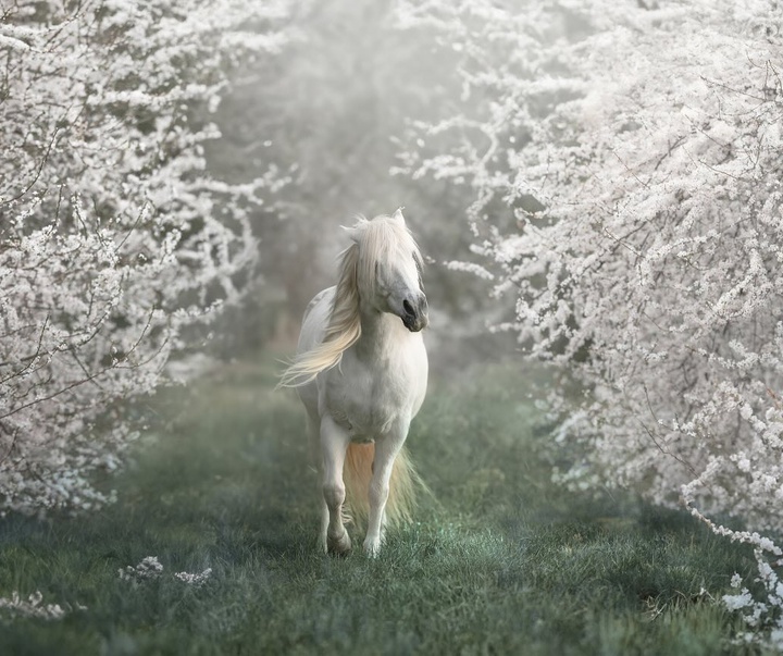 Gallery of Photography by Mariola Glajcar - Poland