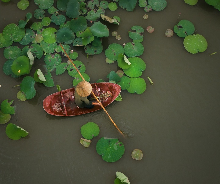 Gallery of Photography by Chris Ha - USA