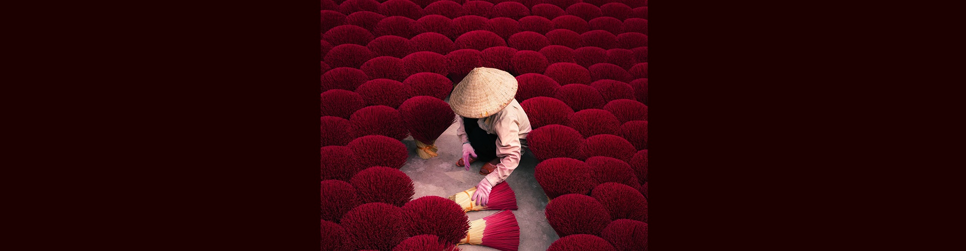 Gallery of Photography by Chris Ha - USA