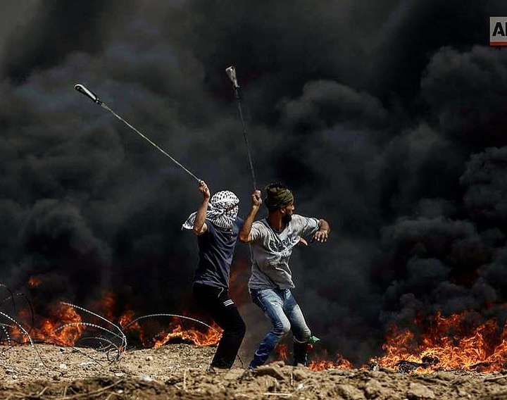 Gallery of Photography by Khalil Hamra from Gaza