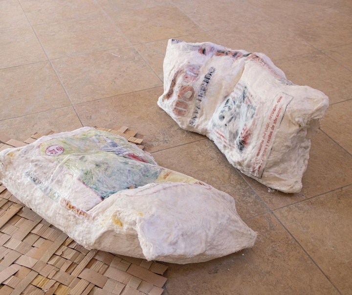 Gallery of Modern Art by Sofia Salazar Rosales - Ecuador
