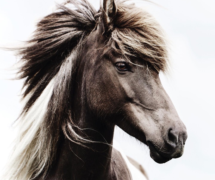 Gallery of Photography by Gigja Einars - Iceland
