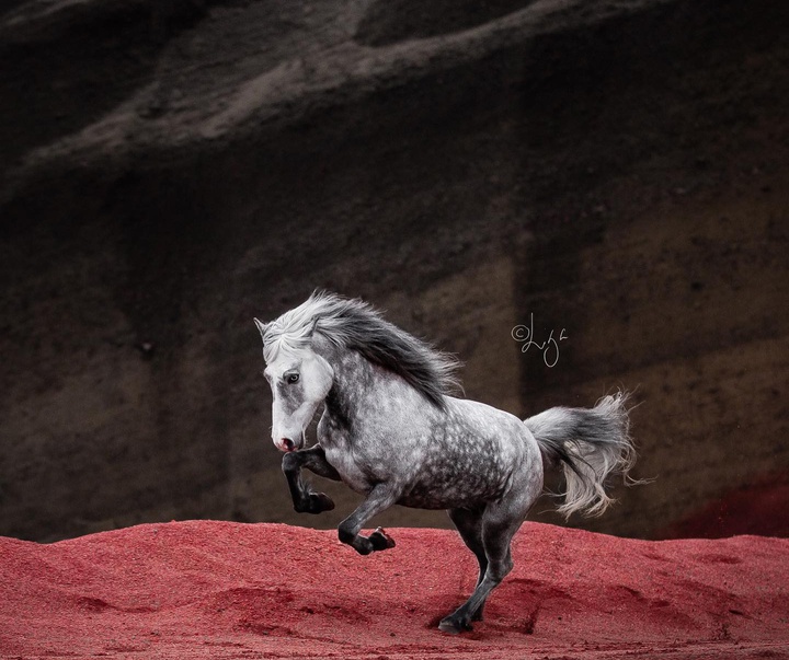 Gallery of photography by Liga Liepina - Iceland