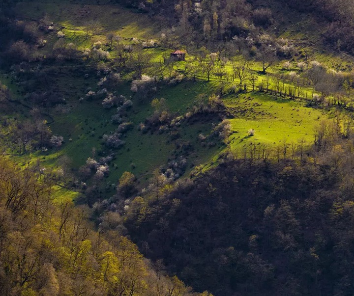 Gallery of Landscape Photography by Mojtaba Dori-Iran