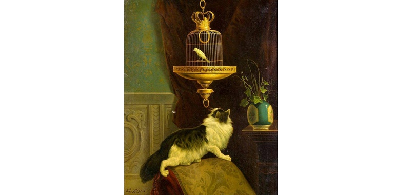 «گربه و قفس قناری» در کاخ گلستان بررسی کارشناسی می‌شود